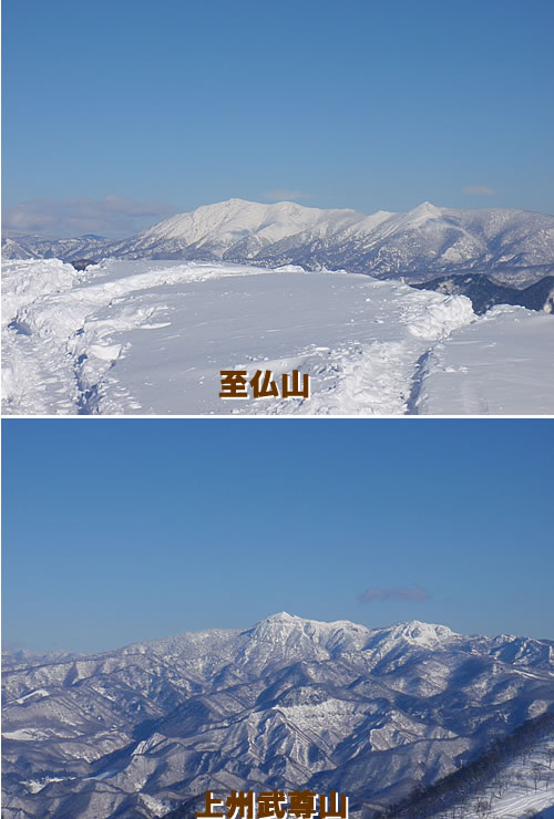 100124tani2.jpg