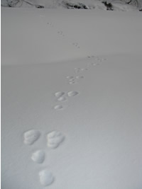 2007.12.26-6.jpg