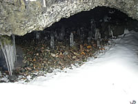 2008.1.27..6.jpg