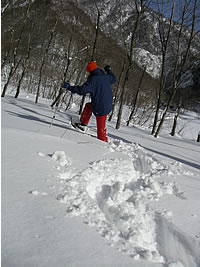 2008.1.28.4.jpg