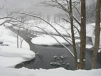 2008.2.3.4.jpg