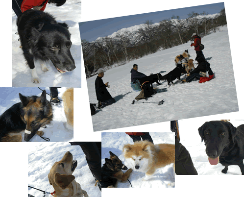 2008.3.22a-2.gif