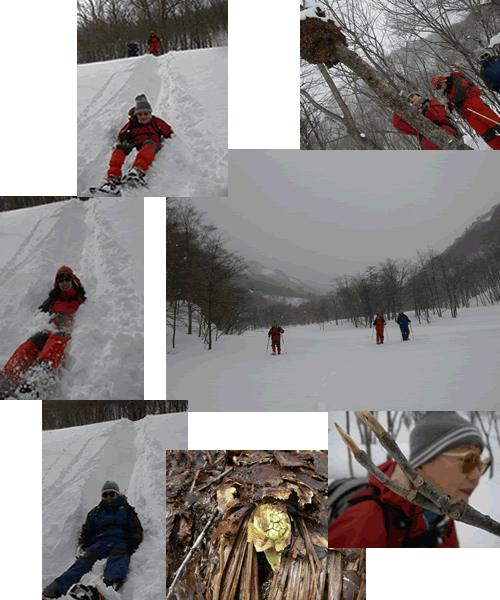 2008.3.7-2.gif