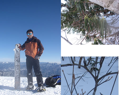 20081224.jpg