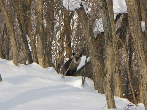20110206-5.jpg