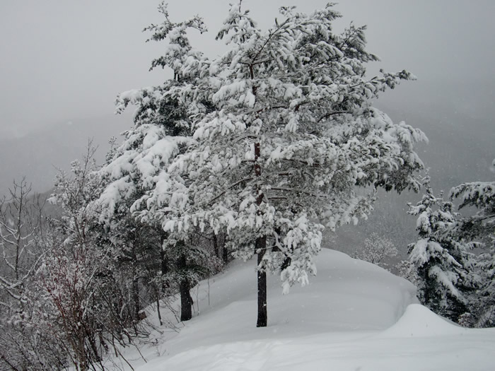 20120121am1.jpg