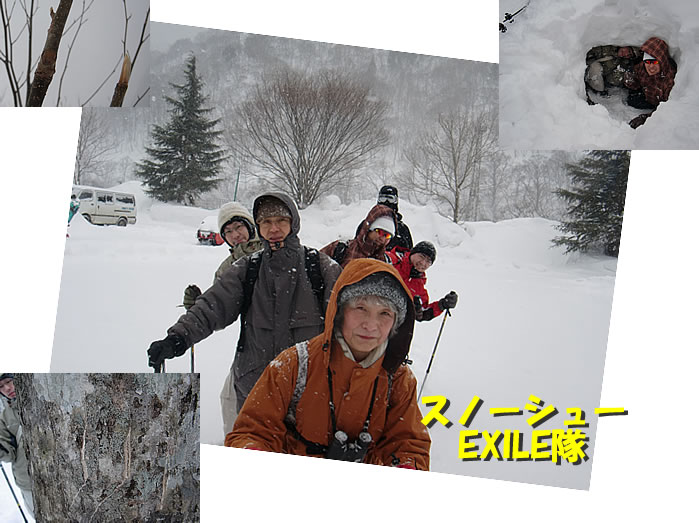 20120227am1.jpg