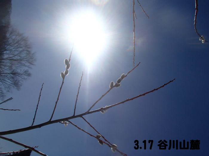 20130317am1.jpg