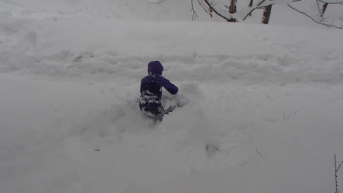 20150110oyu3.jpg