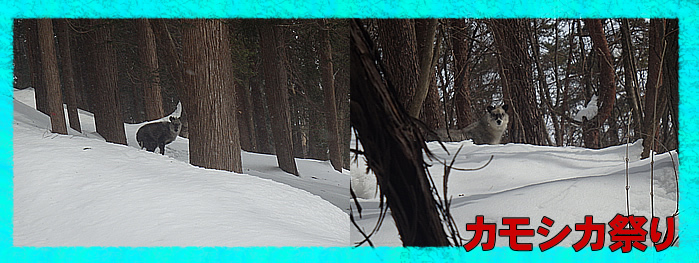 201502131day1.jpg
