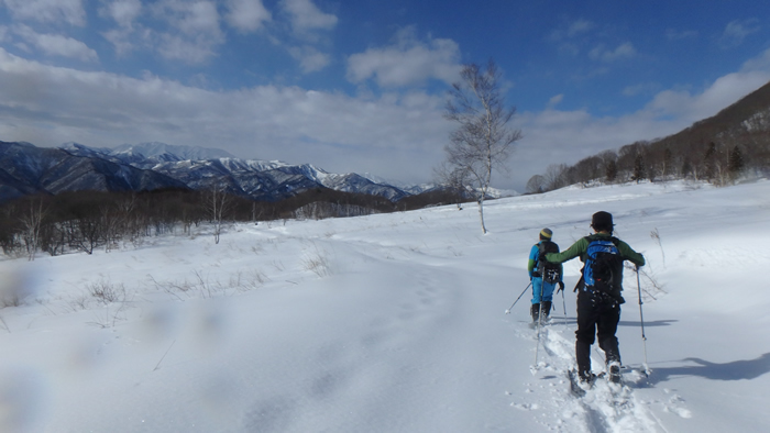 20160204t3.jpg