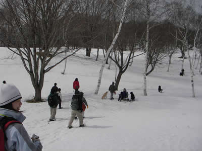 IMGP0041.jpg
