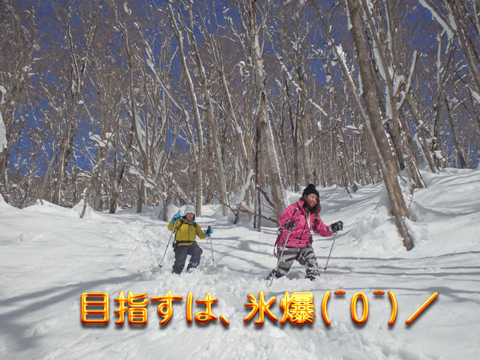 ss20150204u1.jpg
